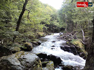 15:11 hs. El arroyo Grande en el Valle de Andorra