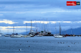 La bahía y sus veleros