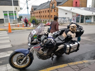17:18 hs. Pocho, el perro motoviajero llegÃ³ a Ushuaia