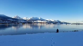 14:54 hs. Contemplando la cordillera soleada.