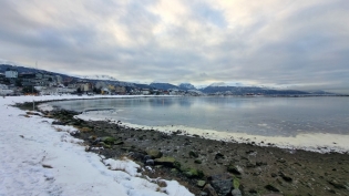 10:27 hs. caminata por la reserva natural urbana