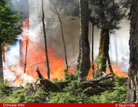 Continúan los incendios forestales en la zona centro de la provincia, aunque ya controlados