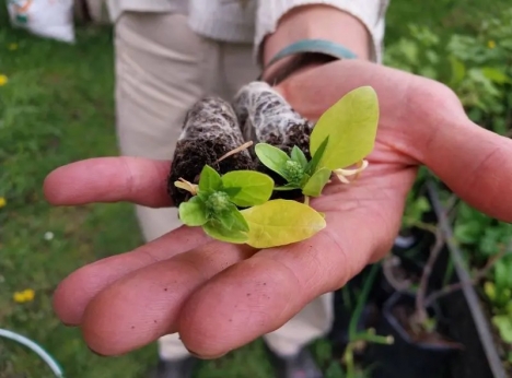 El INTA Impulsa la Siembra Tardía como Alternativa para Optimizar la Producción en Tierra del Fuego